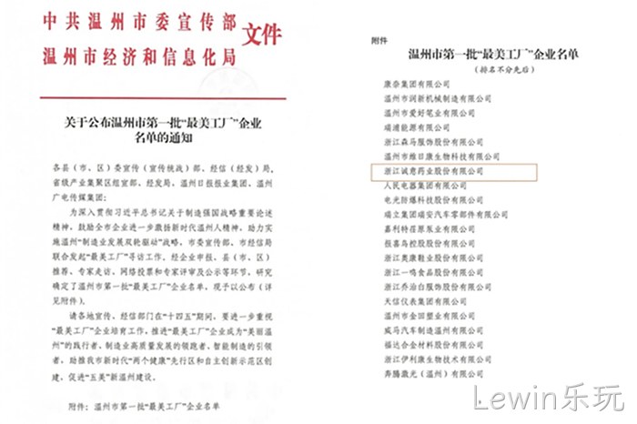 Lewin乐玩