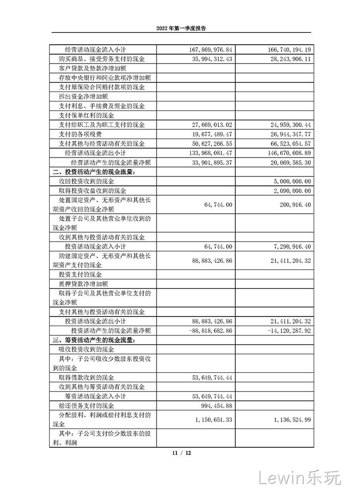 Lewin乐玩2022年第一季度✩报告_页面_11