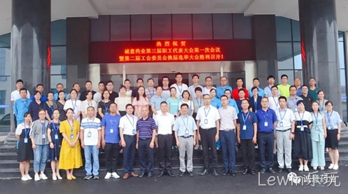 Lewin乐玩